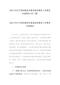 2022年关于党的建设和基层组织建设工作情况自查报告共二篇