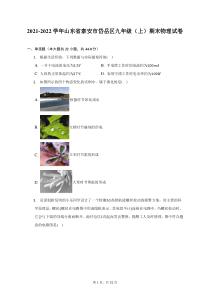 2021-2022学年山东省泰安市岱岳区九年级上期末物理试题及答案解析