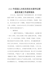 2022年某县人大机关党总支部书记抓基层党建工作述职报告