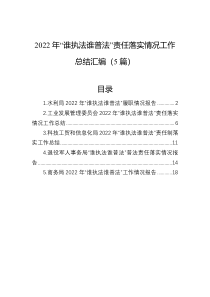 2022年谁执法谁普法责任落实情况工作总结汇编5篇