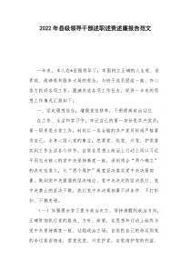 2022年县级领导干部述职述责述廉报告范文