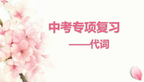 2022年中考英语语法知识点代词课件