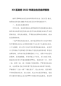 XX区政府2022年政治生态自评报告