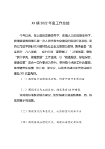 XX镇2022年度工作总结