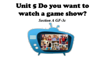 Unit5DoyouwanttowatchagameshowSectionAGrammar-3c课件2022-2023学年人教版八年级英语上册
