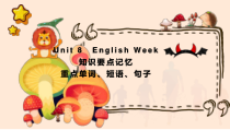 Unit8期末复习知识要点记忆课件2022-2023学年牛津深圳版英语八年级上册
