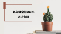 Unit8语法专题课件2022-2023学年人教版新目标英语九年级全册