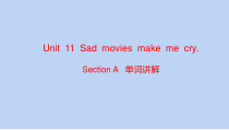 Unit11SectionB单词讲解课件2022-2023学年人教版英语九年级全册