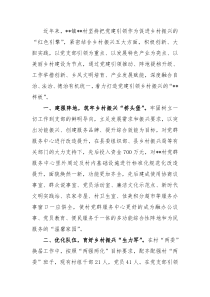 党建引领乡村振兴工作汇报4