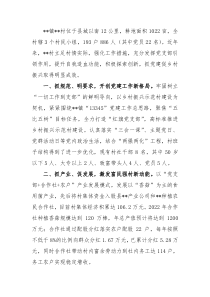 党建引领乡村振兴经验材料