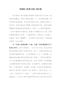 电视剧县委大院观后感