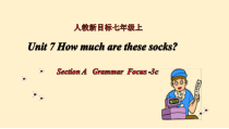 Unit7SectionAGrammarFocus-3c课件2022-2023学年人教版英语七年级上册
