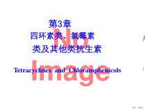 4节四环素类氯霉素类抗生素护理专科课件