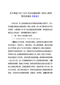 关于推进2022-2023年法治建设第一责任人职责情况的报告模板