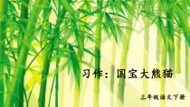 人教部编版三年级下语文《习作：国宝大熊猫》示范优质课课件