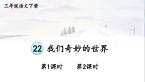 人教部编版三年级下语文22《我们奇妙的世界》示范优质课课件