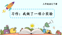 人教部编版三年级下语文《习作：我做了一项小实验》优质示范课课件