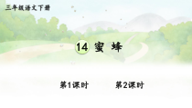 人教部编版三年级下语文14《蜜蜂》优质示范课课件