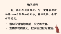 人教部编版三年级下语文13《花钟》示范优质课课件