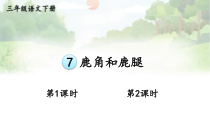 人教部编版三年级下语文7《鹿角和鹿腿》示范课课件