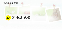 人教部编版三年级下语文4《昆虫备忘录》示范优质课课件
