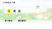 人教部编版三年级下语文3《荷花》示范课课件