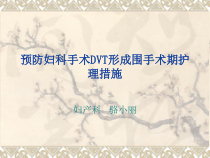 DVT在妇科围手术期的护理措施课件