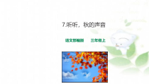 三年级上册语文课件-7听听秋的声音课件人教部编版共25张PPT