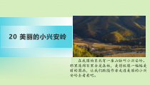 三年级上册语文课件-20美丽的小兴安岭人教部编版共27张PPT
