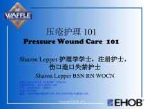 EHOB褥疮预防及护理研究中英文课件