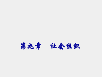 社会学概论第二版课件第九章