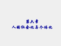 社会学概论第二版课件第六章