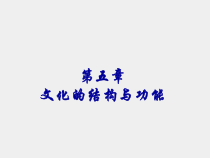 社会学概论第二版课件第五章