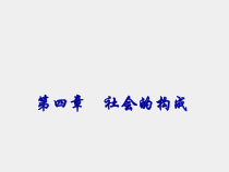 社会学概论第二版课件第四章