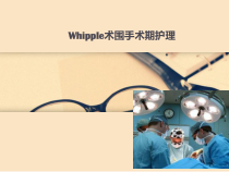Whipple术围手术期护理课件