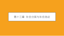 社会学概论新修第五版课件第十三章