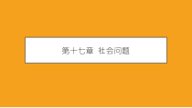 社会学概论新修第五版课件第十七章