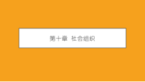 社会学概论新修第五版课件第十章