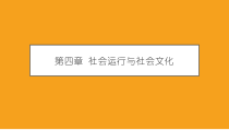 社会学概论新修第五版课件第四章