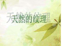 三年级上册美术课件-第9课天然的纹理人教版共17张PPT1