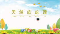 三年级上册美术课件-第9课天然的纹理人教版共27张PPT
