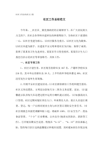 社区年度工作总结范例2篇
