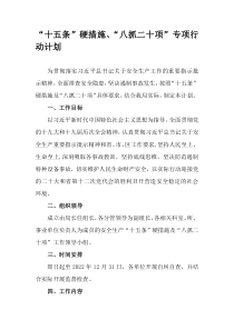 十五条硬措施八抓二十项专项行动计划