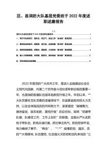 区县消防大队基层党委班子2022年度述职述廉报告