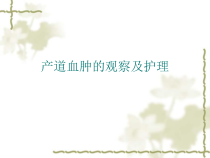 产道血肿的观察及护理PPT课件