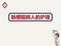 肠梗阻病人的护理个案培训ppt课件