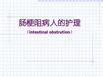 肠梗阻病人的护理及治疗ppt课件