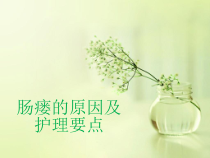 肠瘘的原因及术后护理个案培训ppt课件