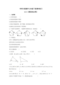 华师大版数学七年级下册课时练习10.5《图形的全等》(含答案)