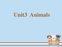 新起点人教版一年级英语上册-Unit3 Animals Lesson1.1